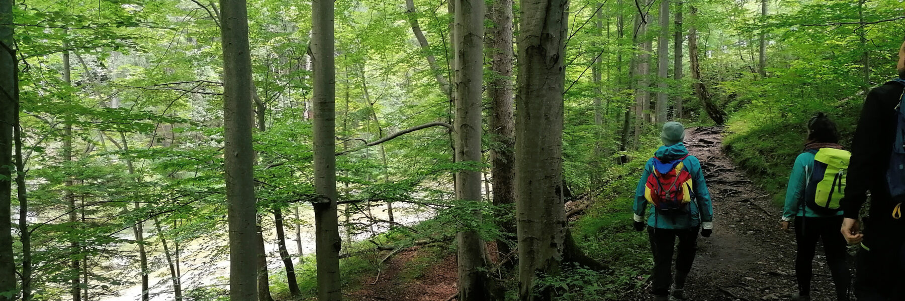 Sommerlich ist es nicht gerade, aber zumindest grün... Foto: Sarah Pallauf