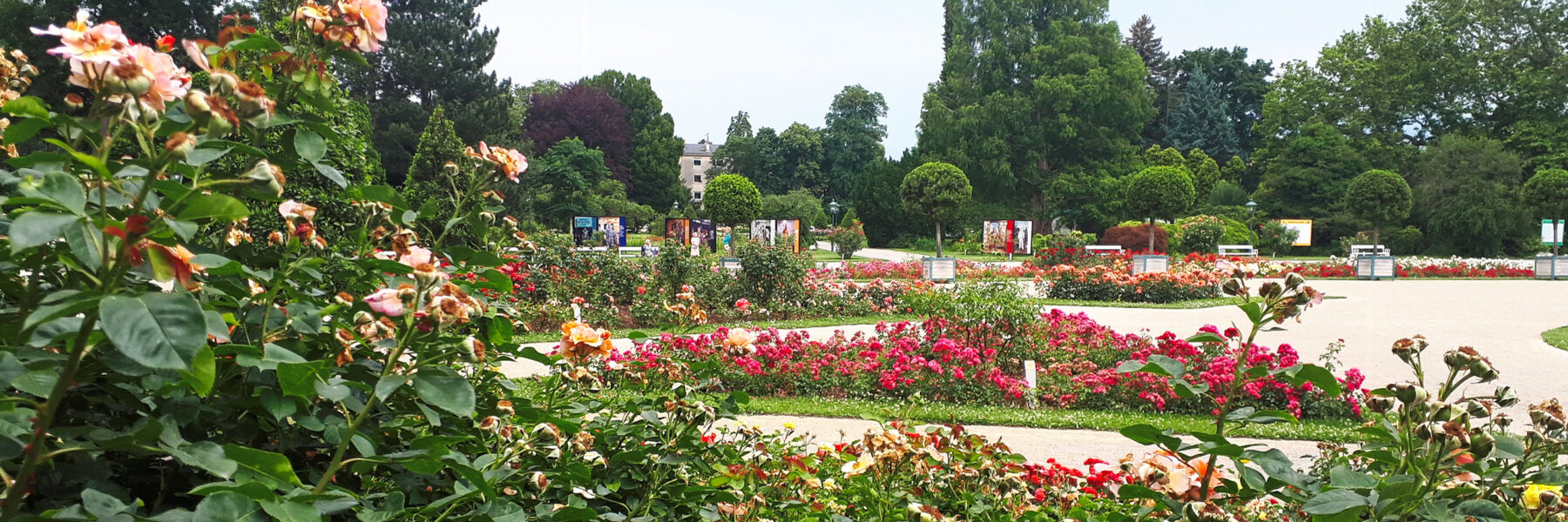 Doblhoffpark. Foto: Gerold Petritsch