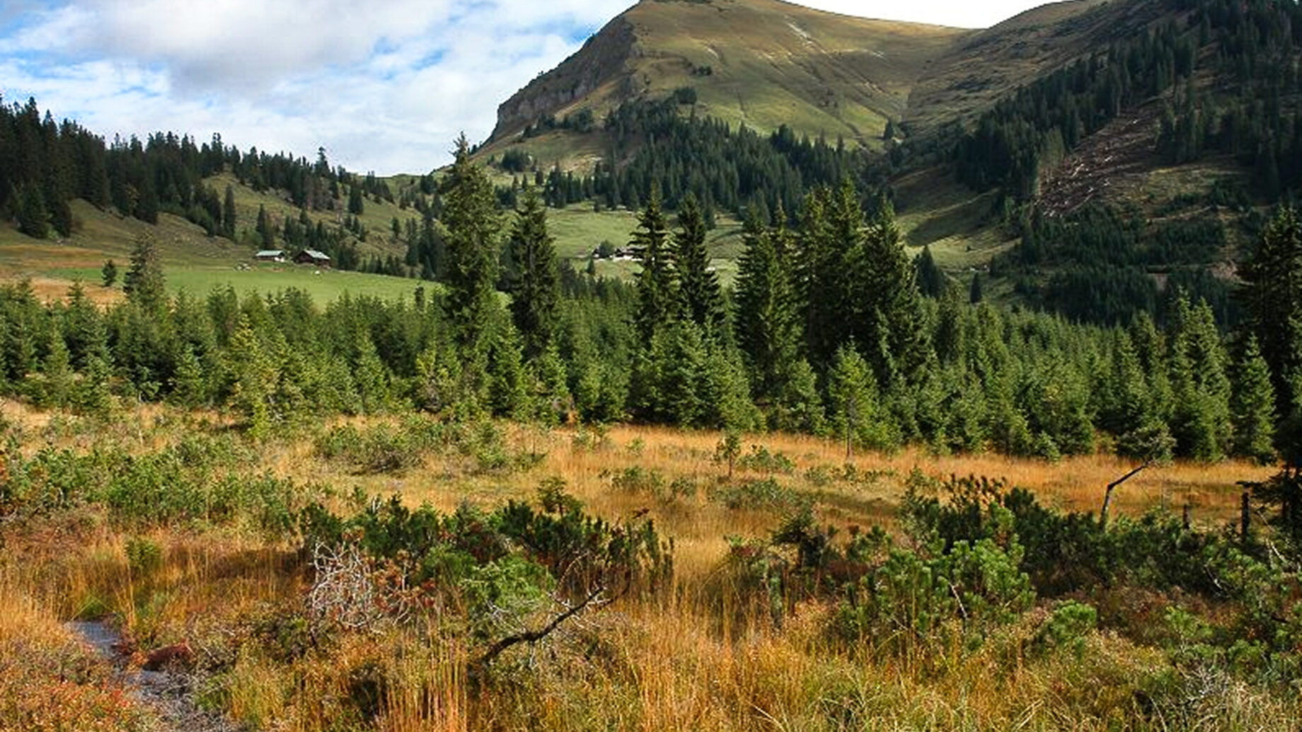 Unterhalb des Juifen. Foto: Naturpark Karwendel