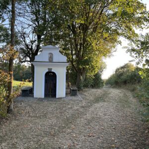 Ins Weinviertel: Von Stammersdorf nach Enzersfeld