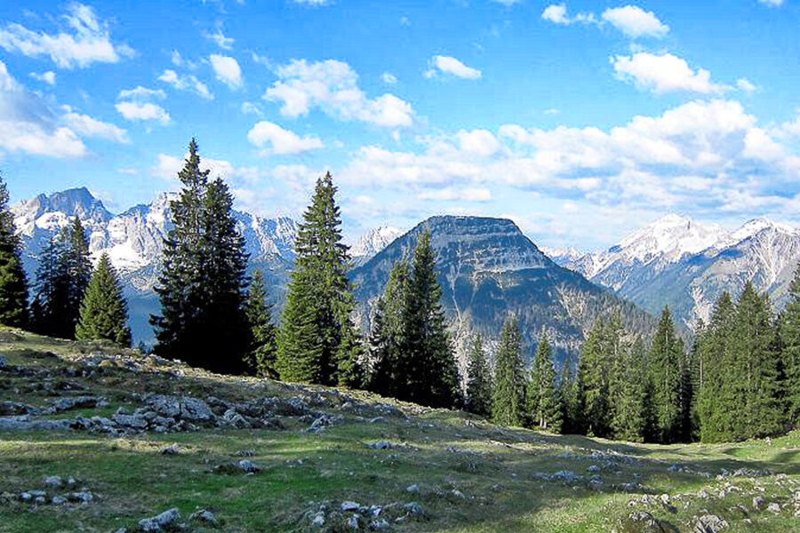 Aussicht Richtung Vorderskopf. Foto: Naturpark Karwendel