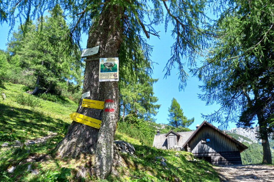 Abzweigung zum Wanderweg 276 auf das Große Tragl. Foto: Martina Friesenbichler