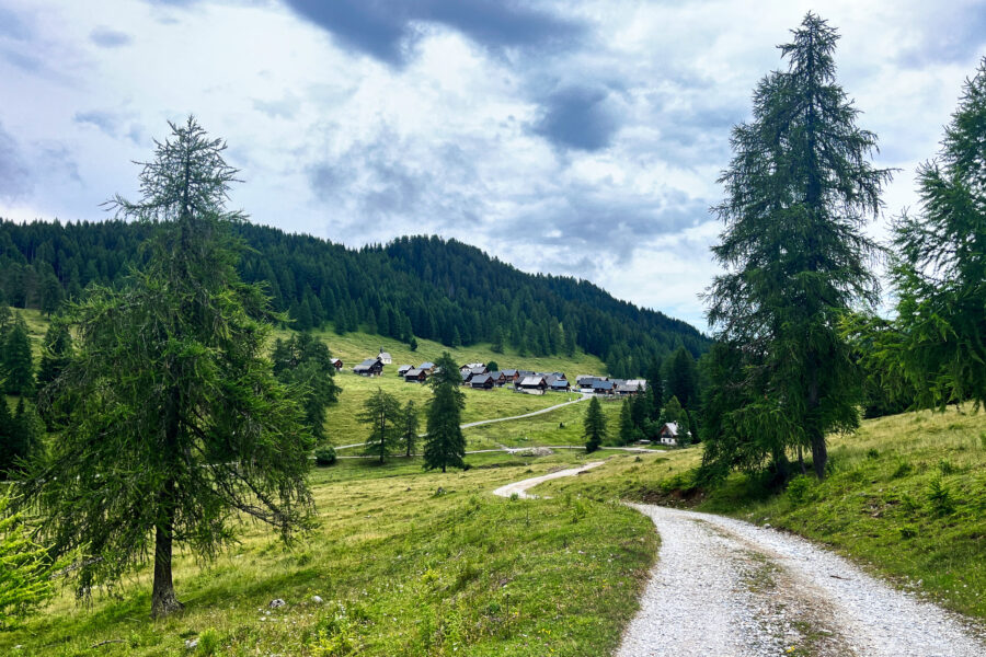 Blick zur Eggeralm. Foto: Birgit Matzinger