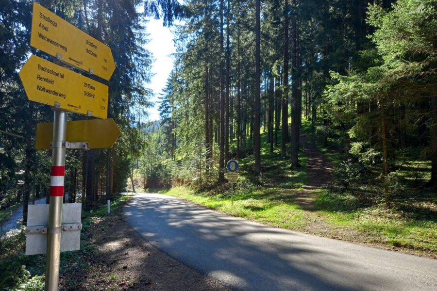 Die Straße queren und durch den Wald aufsteigen (Wanderweg 740). Foto: Martina Friesenbichler