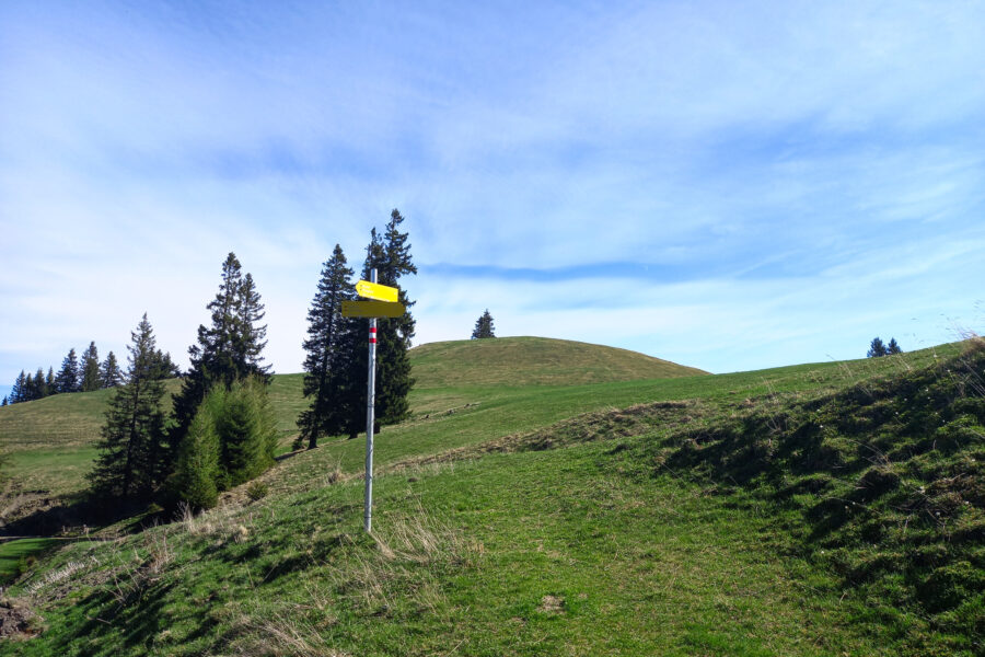 Geradeaus sieht man den Aibel (1.394 Meter). Foto: Martina Friesenbichler  