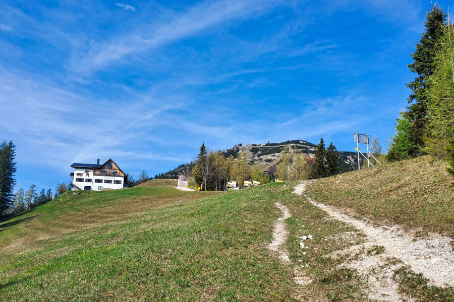 Blick zum „Bäreneck“ und auf den Gipfel der Gemeindealpe (mein erstes Ziel). Foto: Linda Prähauser