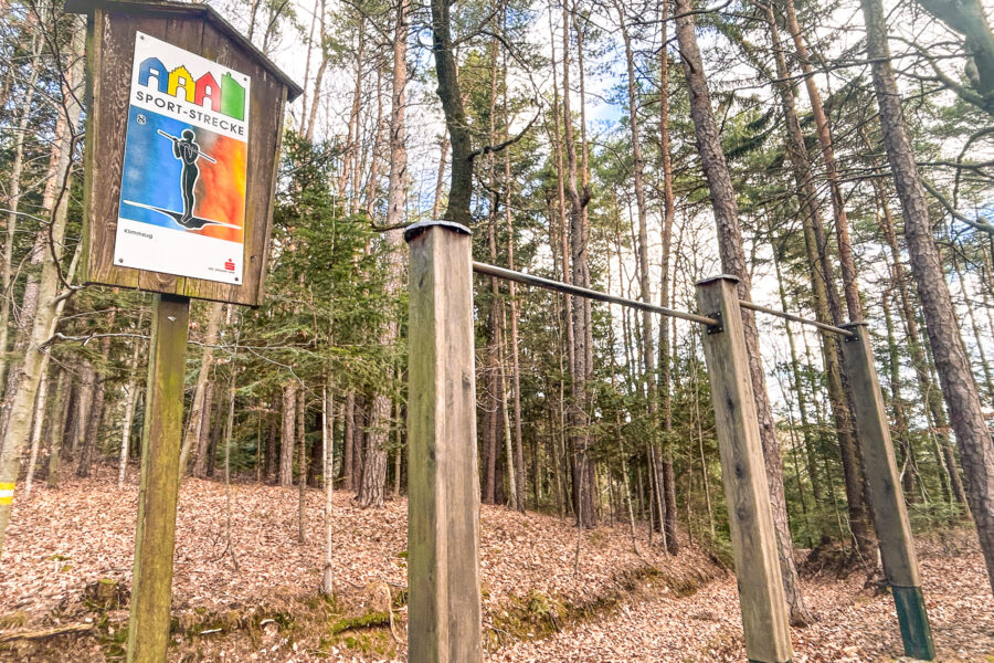 Bei meinem Bewegungsdrang ist die Sport-Strecke im Wald rund um den Ringkogel ein Gustostückerl dieser Tour. Foto: David Kurz