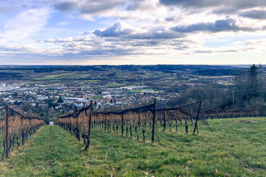 Durch Weingärten geht es hinab nach Hartberg. Foto: David Kurz