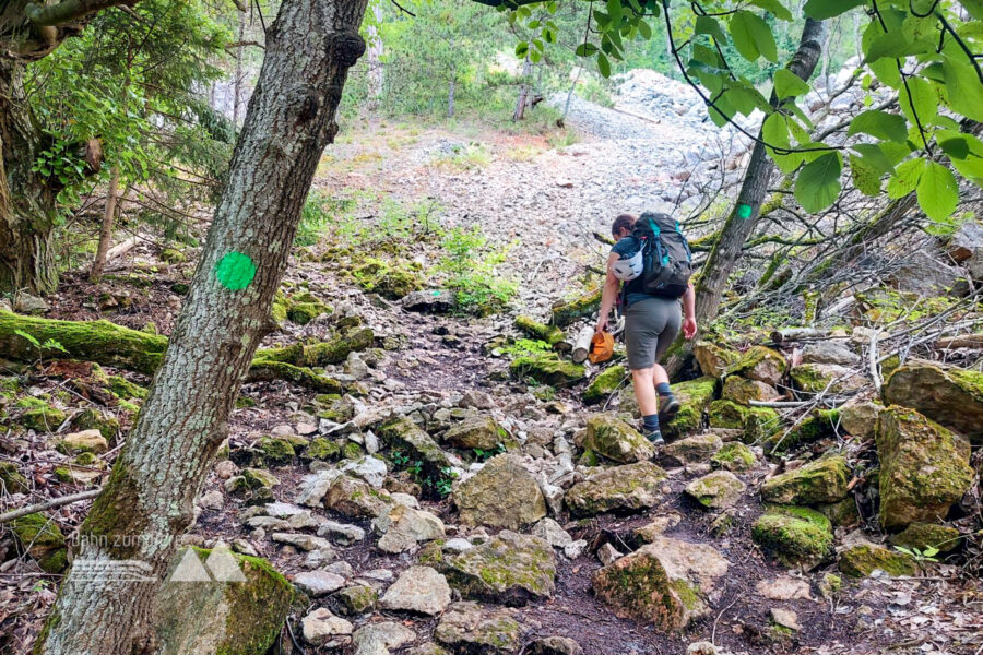 Zustieg zum Bergkraxlersteig, entlang den grünen Punkten. Foto: Alice Frischherz