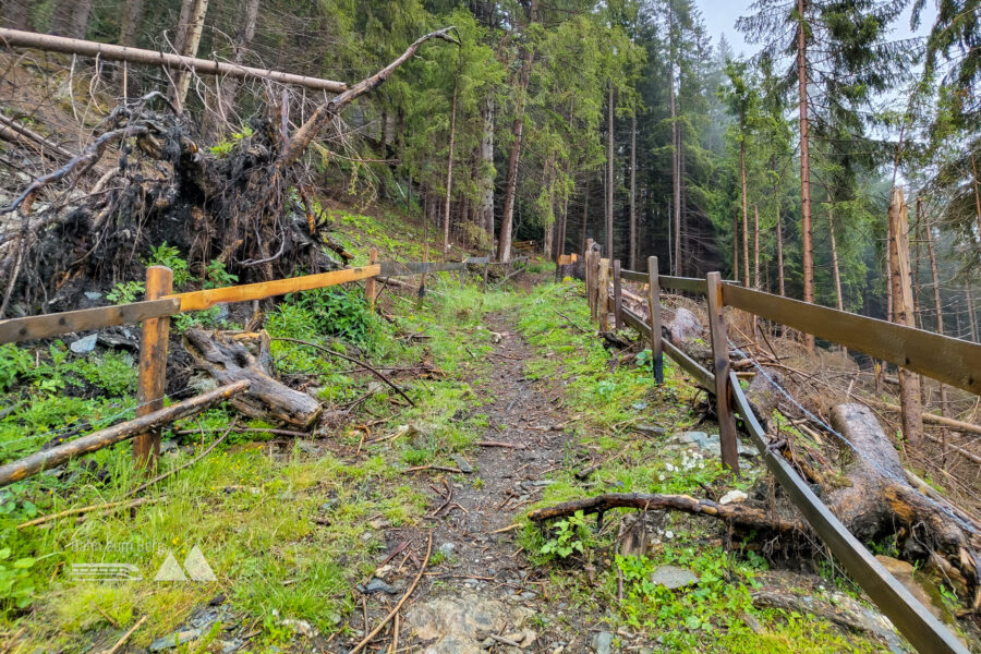 Am alten Steig. Foto: Simon Widy