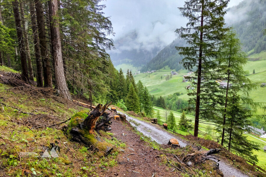 Abstieg nach St. Jodok. Foto: Simon Widy