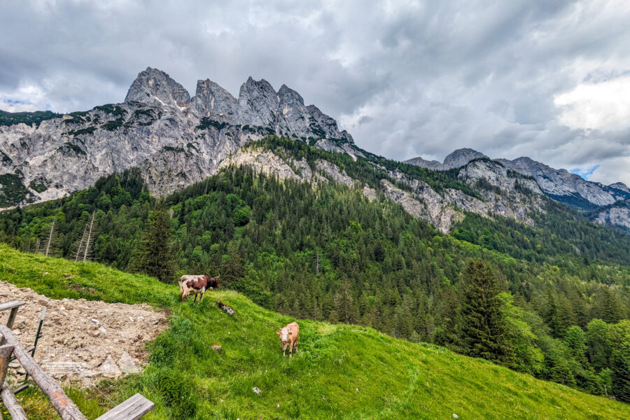 Die Mühlsturzhörner, auch Ramsauer Dolomiten genannt. Foto: Maresa Brandner