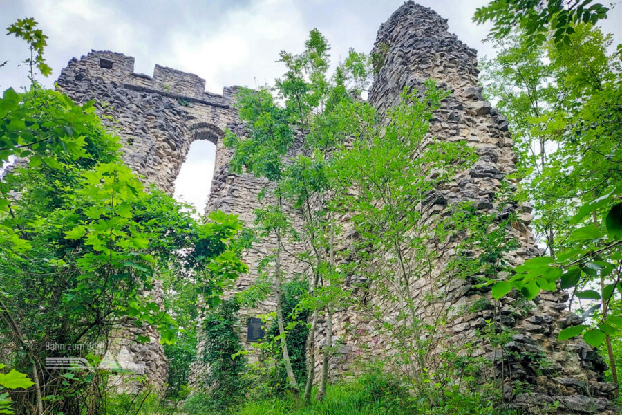 Ruine Türndl. Foto: Alice Frischherz