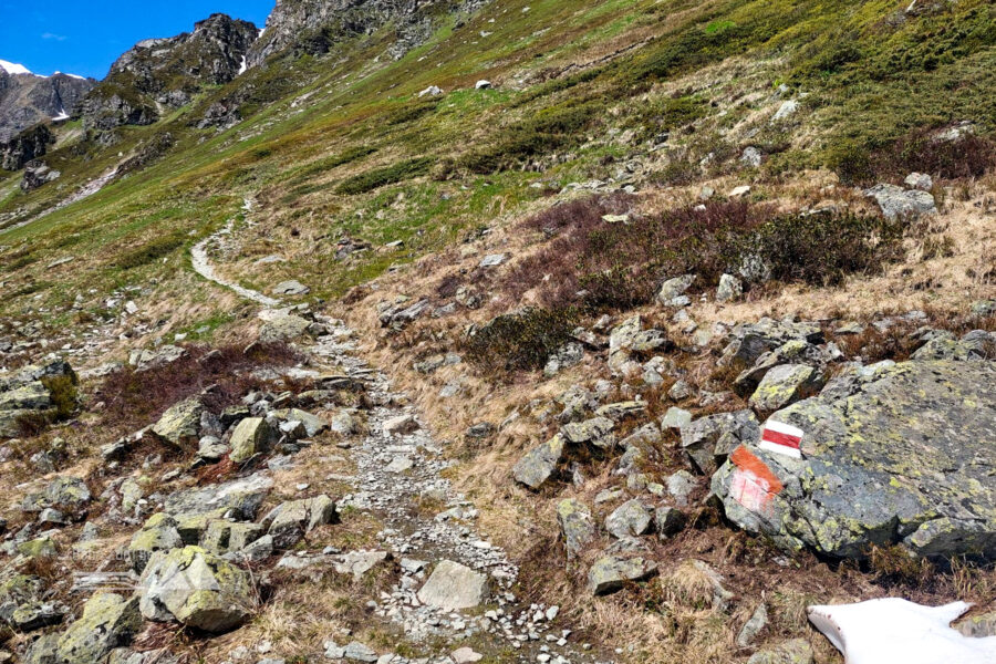 Aufstieg zum Bielerkopf mit weiß-rot-weißer Markierung. Foto: Alice Frischherz