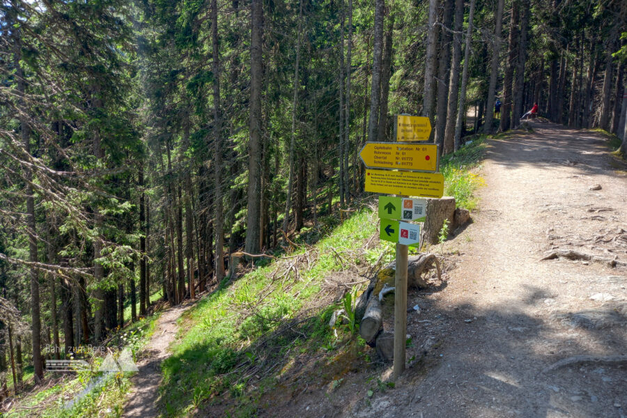 Abstieg über den Hüttecksattel (alpiner Weg). Foto: Martina Friesenbichler