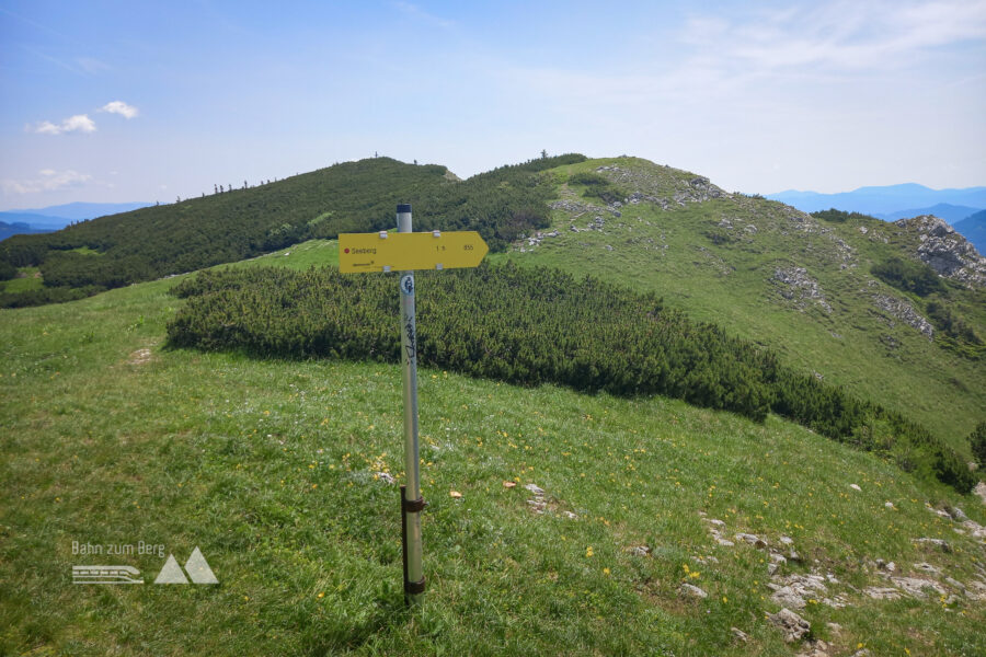 Blick zurück zur Seeleiten. Foto: Martina Friesenbichler