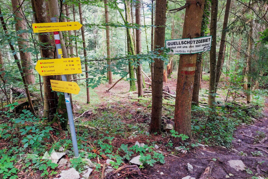 Abstieg über den Ascan Conradsteig nach Kaltenhausen. Foto: Alice Frischherz