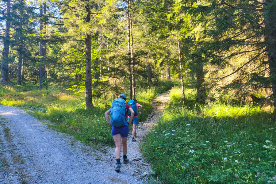 Der Wanderweg ist durchgehend gut markiert und beschildert. Und er verläuft großteils im Wald, was an heißen Tagen wie diesem bei der Südexposition ein großer Vorteil ist. Foto: Siebenbrunner, POW AT