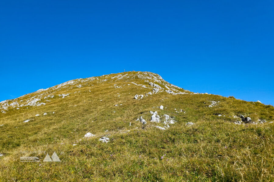 Sobald man aus dem Latschenbereich draußen ist, sieht man schon das Gipfelkreuz. Foto: Anna, POW AT