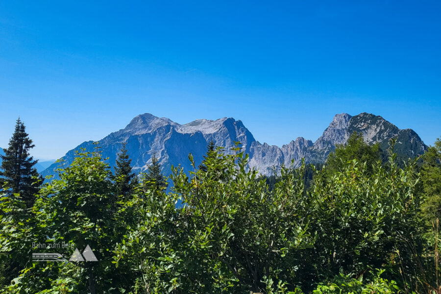 Ausblick auf Buchstein und Tiflimauer von der Ennstaler Hütte aus. Der Bäume stören das Panorama zugegebenermaßen ein wenig. Foto: Anna, POW AT