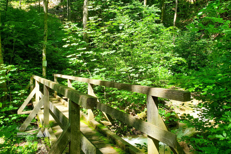 Am Weg zum Dürnbacher Wasserfall. Foto: Linda Prähauser