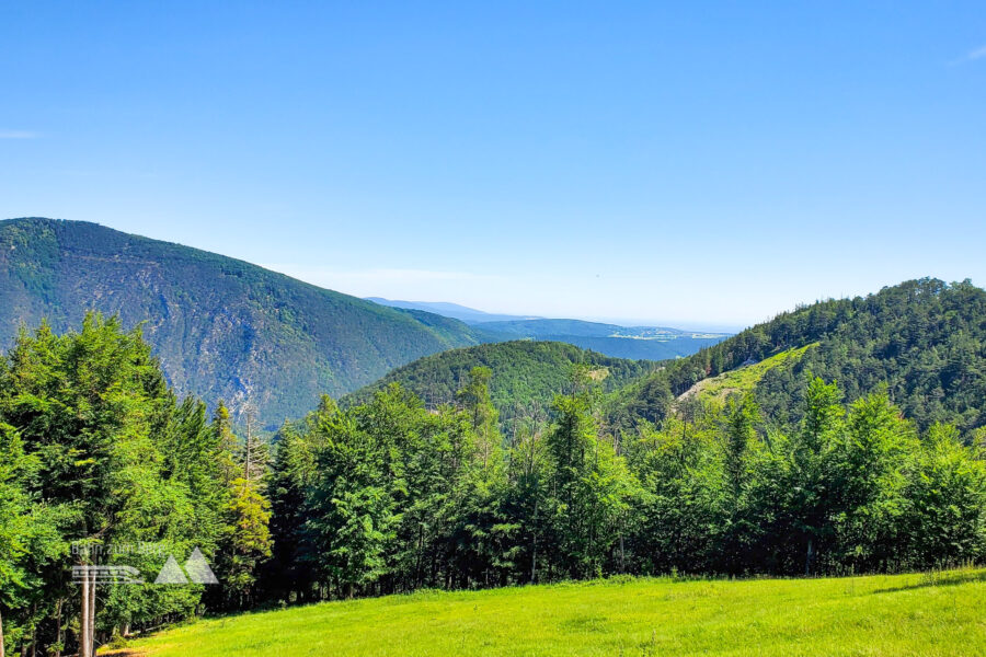 Aussicht Richtung Waldegg während des Aufstiegs. Foto: Linda Prähauser