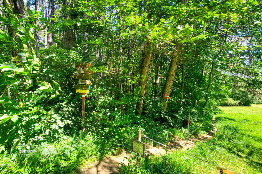 Wegweiser Richtung Bahnhaltestelle neben der Weide. Foto: Linda Prähauser