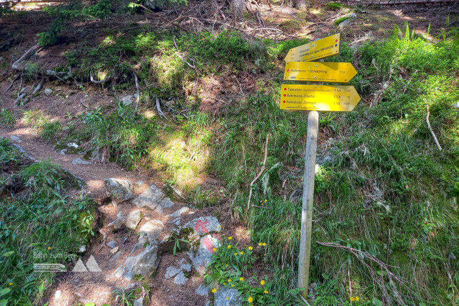 Hier geht's in den Wald. Foto: Martina Friesenbichler