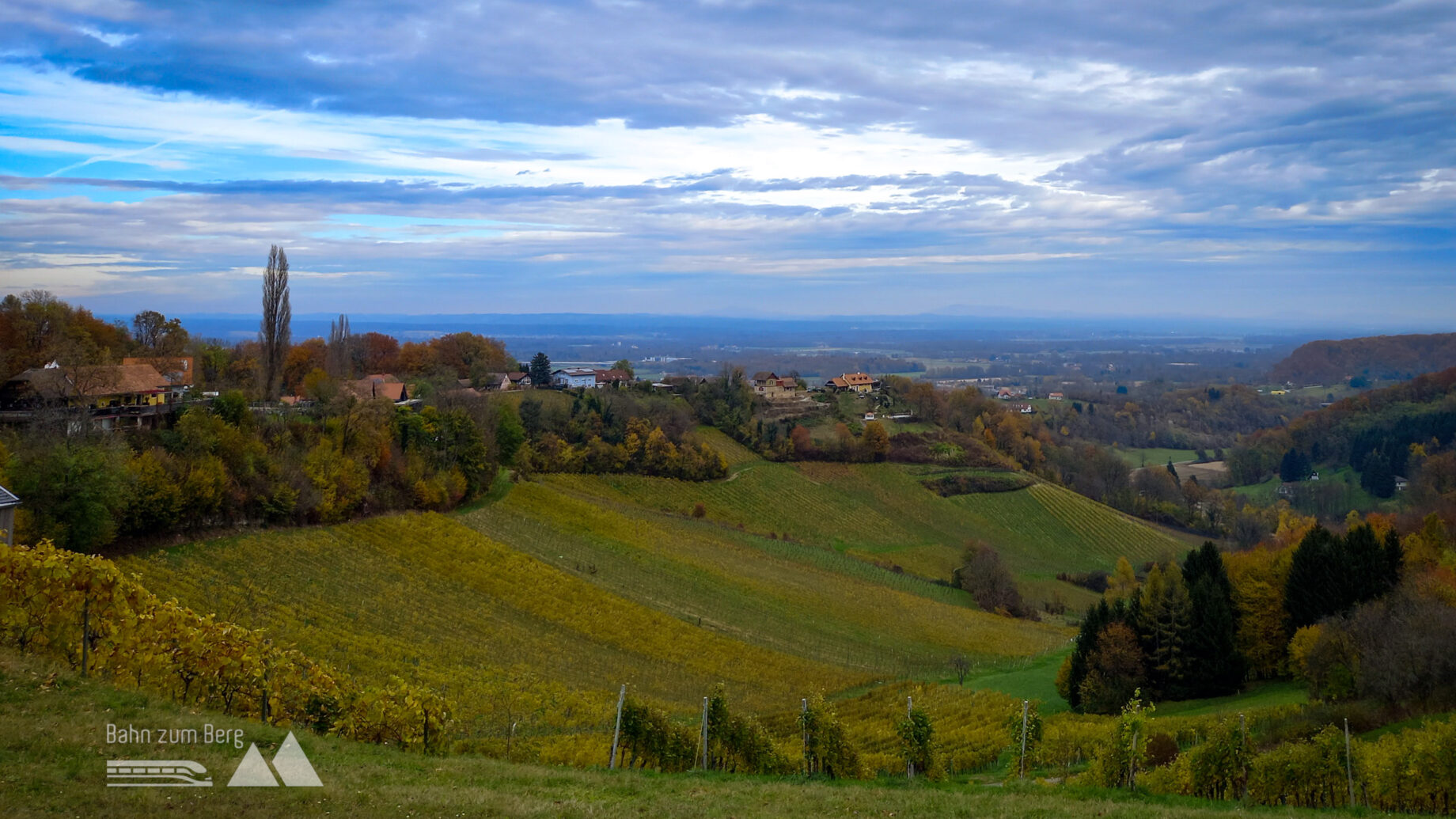 Weinberge und sanfte Hügel prägen die Landschaft. Foto: Martina Friesenbichler