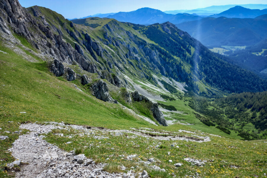 In Serpentinen schlängelt sich der Weg hinauf. Im Hintergrund ruht die Seeleiten. Foto: Martina Friesenbichler