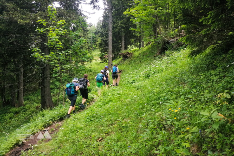 Am Fadenweg. Foto: Sarah Pallauf