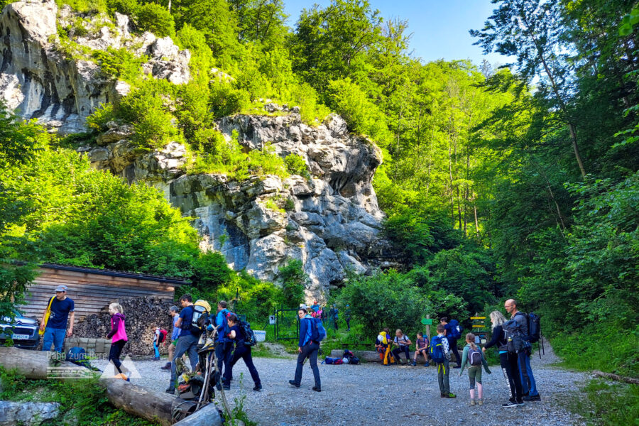 Beim Weichtalhaus – wir sind nicht alleine! Foto: Alice Frischherz