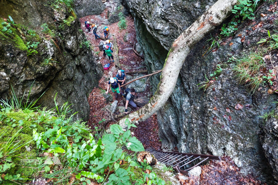 Cooler Blick auf den Rest des BzB-Teams. Foto: Alice Frischherz