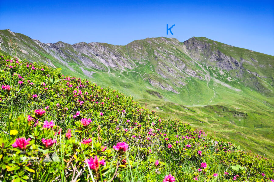 Berauschend: Blick zum K = Kramkogel. Foto: Karl Plohovich