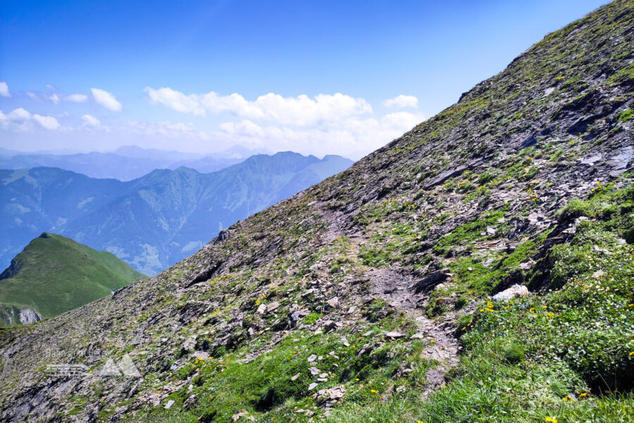 Gelungene Zusammenarbeit Gämse – Mensch: die Querung zum Kramkogel O-Grat. Foto: Karl Plohovich