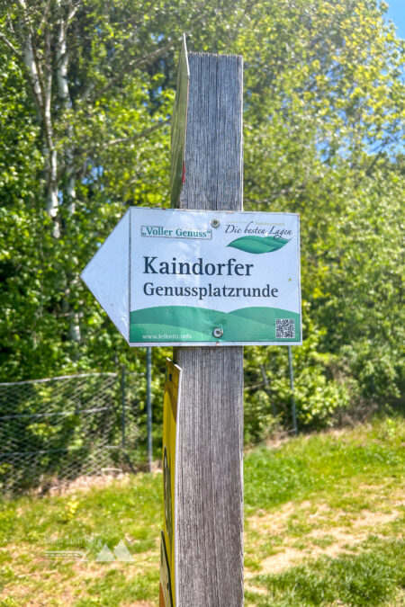 Wir folgen diesen Wegen auf dem Silberberg Richtung Kreuzkogel. Foto: David Kurz