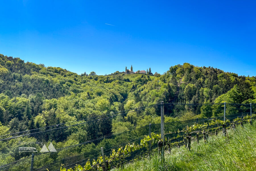 Blick auf Kitzeck im Aufstieg. Foto: David Kurz