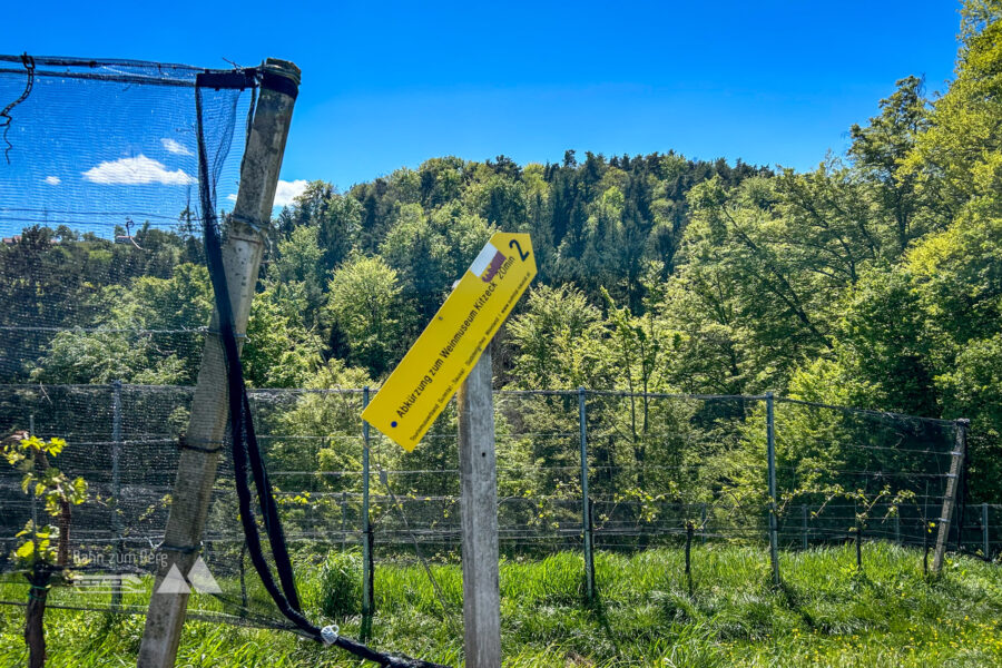 Ein betrunkener Wegweiser Richtung Kitzeck. Foto: David Kurz