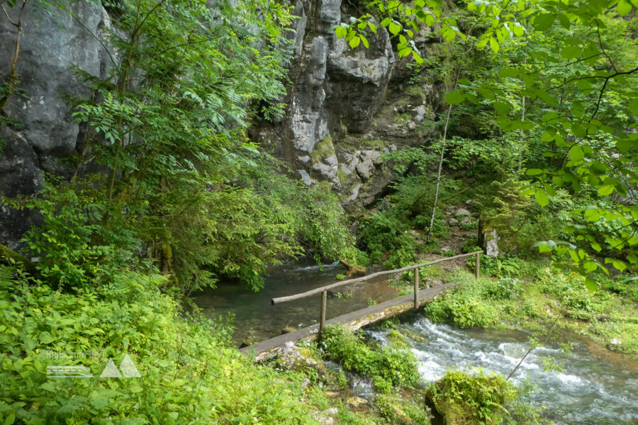 Schwarztorrén – mächtig-prächtige Karstquelle. Foto: Karl Plohovich