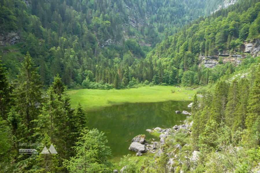 Seealm – gegen den Herbst zu kann der See völlig verschwinden. Foto: Karl Plohovich