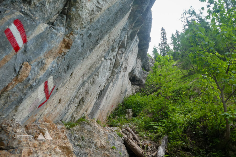 Hinaus aus der Doline. Foto: Karl Plohovich