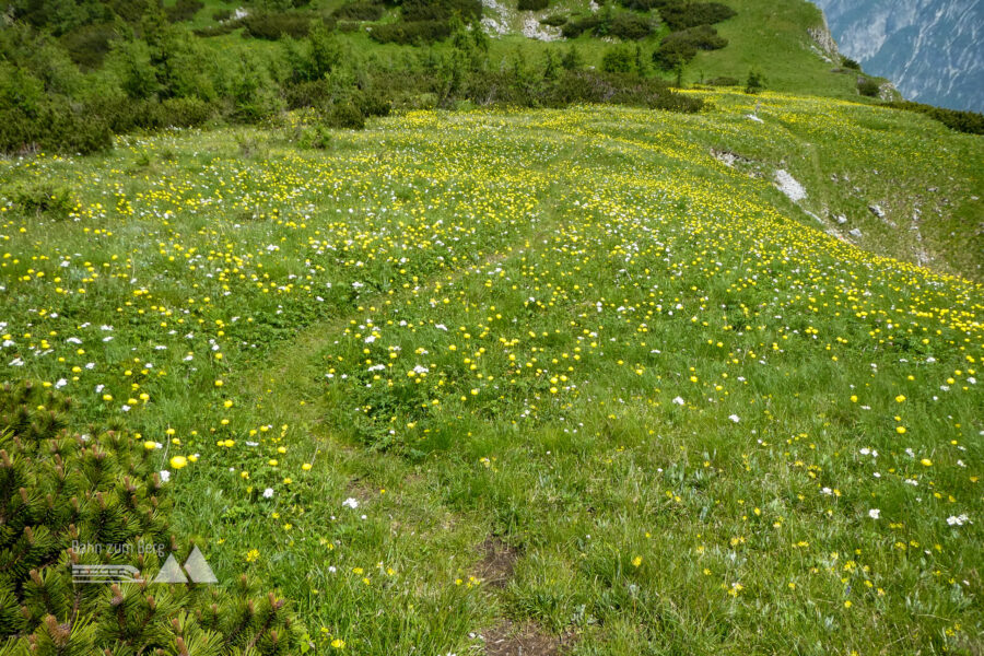 Hochtor. Foto: Karl Plohovich