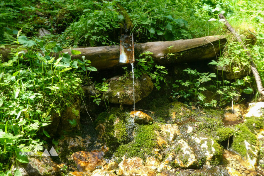 Eiskalte Quelle bei der – bereits unkenntlichen – Brunnalm. Foto: Karl Plohovich