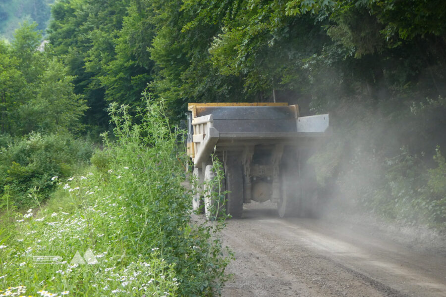 Freundlich hat der Fahrer gegrüßt – allerdings „von oben herab“. Foto: Karl Plohovich