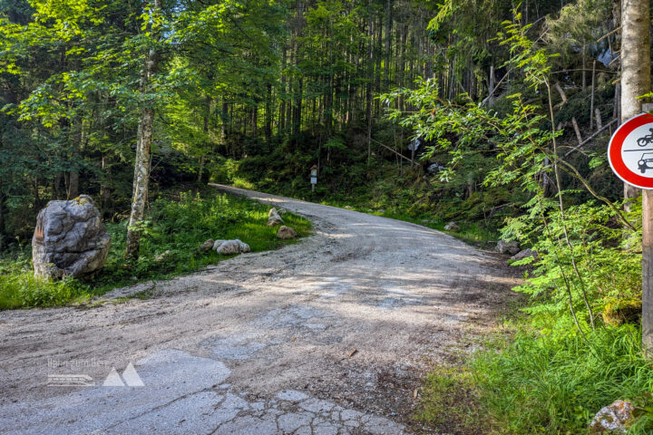 Hier geht es los: die ersten Höhenmeter werden auf einem sehr breiten Forstweg überwunden. Fotos: Maresa Brandner