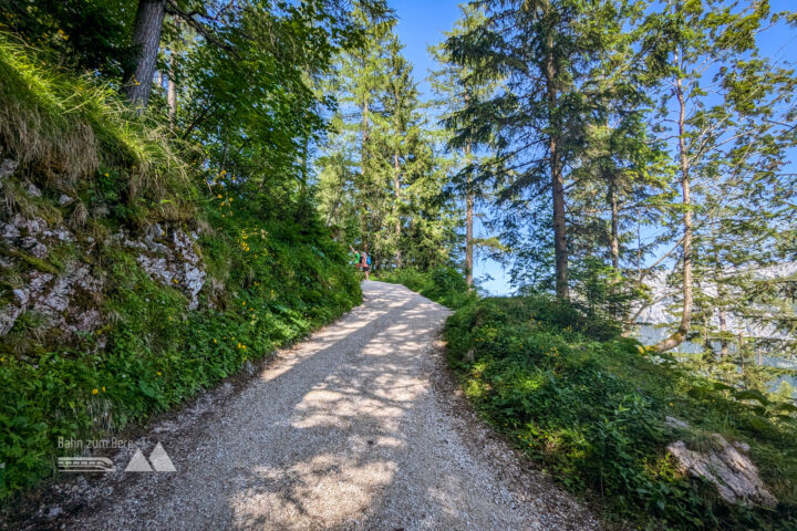 (Sehr) steil geht es die ersten 550 Höhenmeter bergauf. Fotos: Maresa Brandner