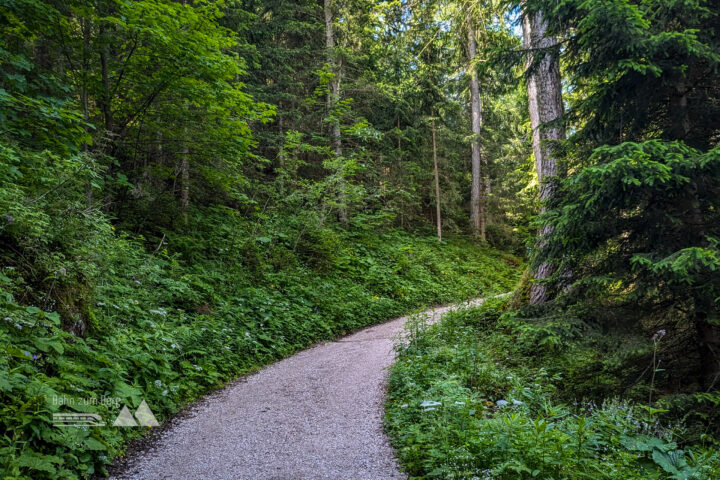 Der Weg wird kurzzeitig etwas flacher, bis die Felsarena des Hochkalters in den Blick kommt. Fotos: Maresa Brandner