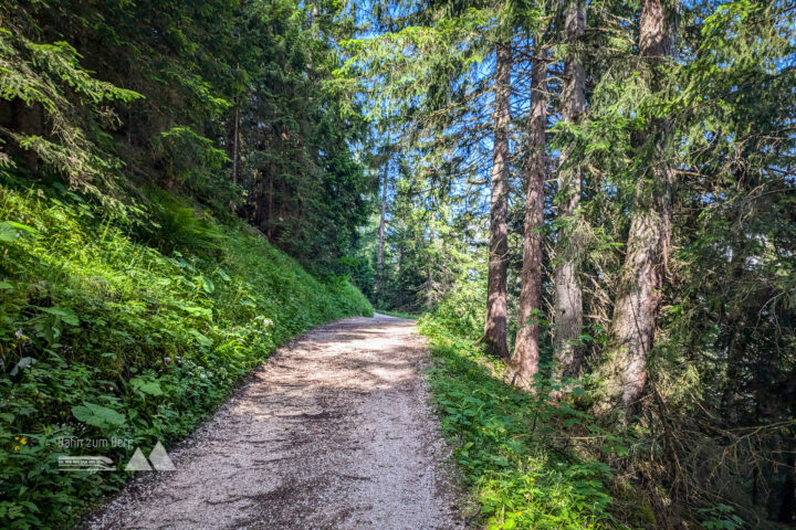 Der Weg wird kurzzeitig etwas flacher, bis die Felsarena des Hochkalters in den Blick kommt. Fotos: Maresa Brandner