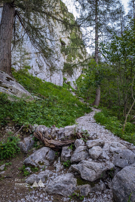 Die letzten 300 Höhenmeter zur Blaueishütte werden über viele Stufen entlang imposanter Felswände erklommen. Fotos: Maresa Brandner