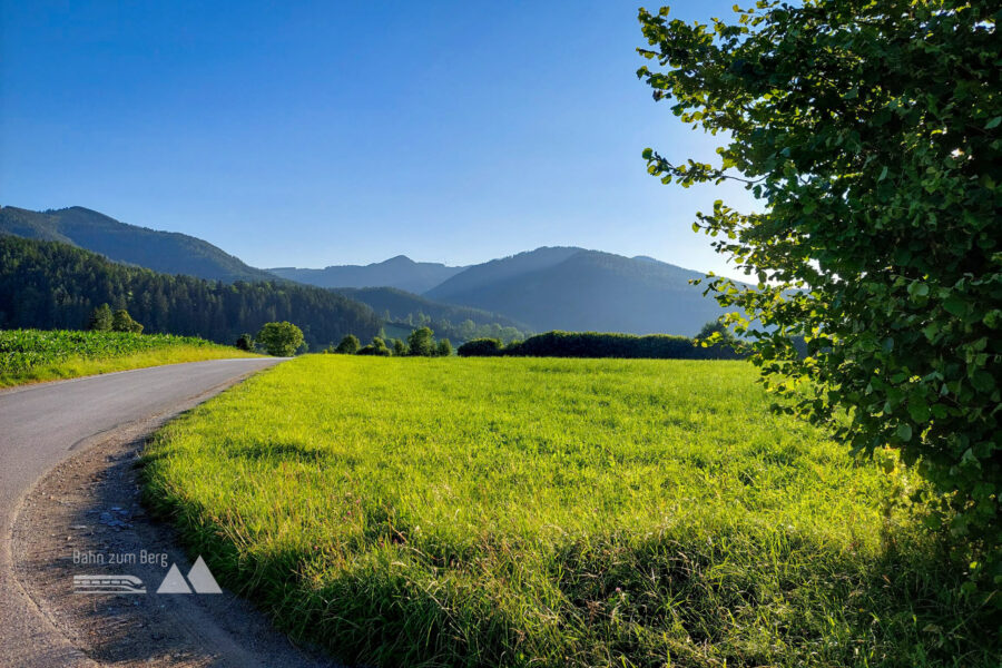 Eher gemütlich geht es zuerst leicht bergauf, in Bildmitte ist das Windrad auf der Sommeralm klein zu sehen. Foto: Alice Frischherz